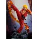 Street Fighter IV Ken Dragon Flame Regular 1/4 scale Statue 63 cm